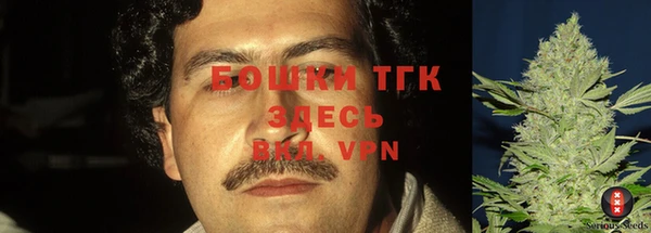 гашик Богданович