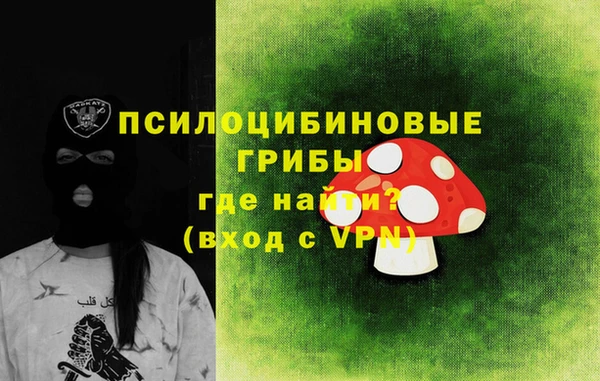 гашик Богданович