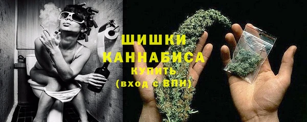 гашик Богданович