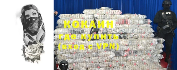 гашик Богданович