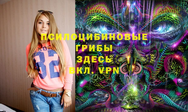 гашик Богданович