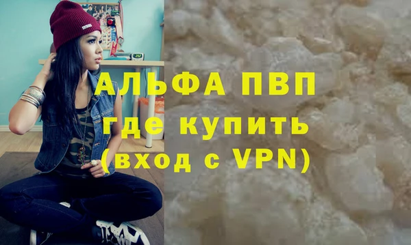 гашик Богданович