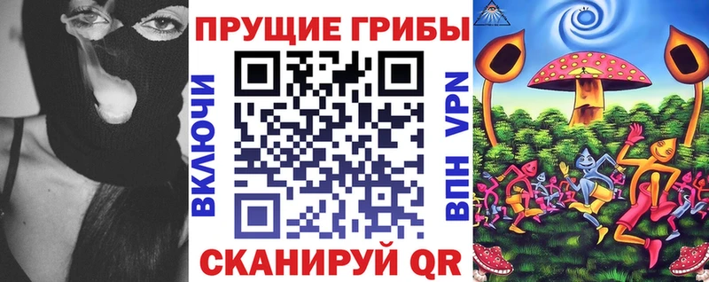 Купить где  Велиж  Галлюциногенные грибы Magic Shrooms 